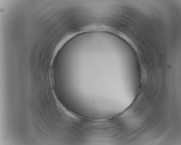 X0000076401486200610202117