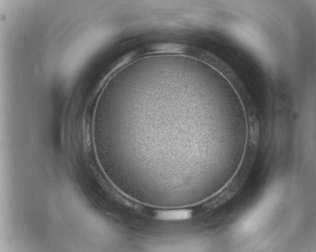 X0000076401487200610202117