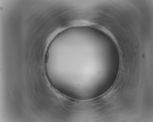 X0000076401488200610202117