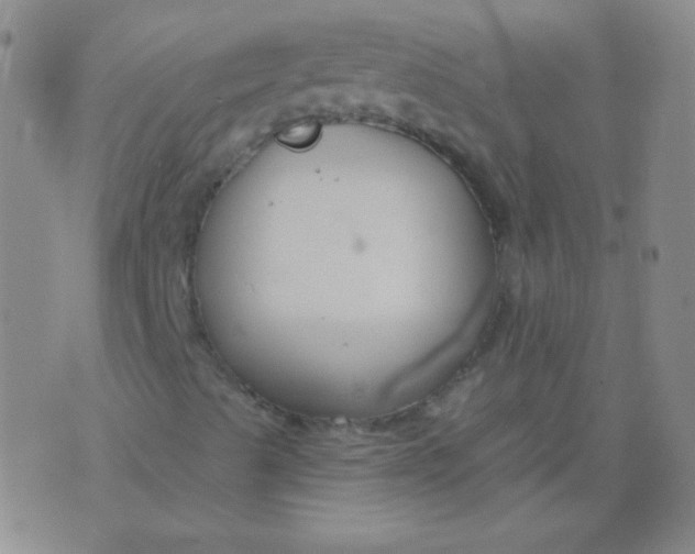 X0000076401489200610202116