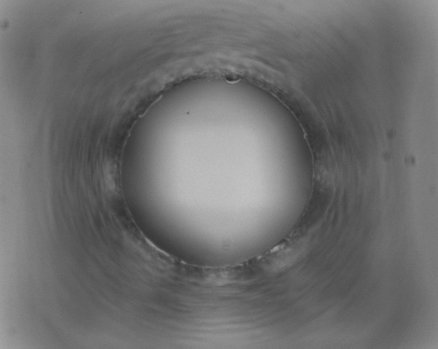 X0000076401490200610202116