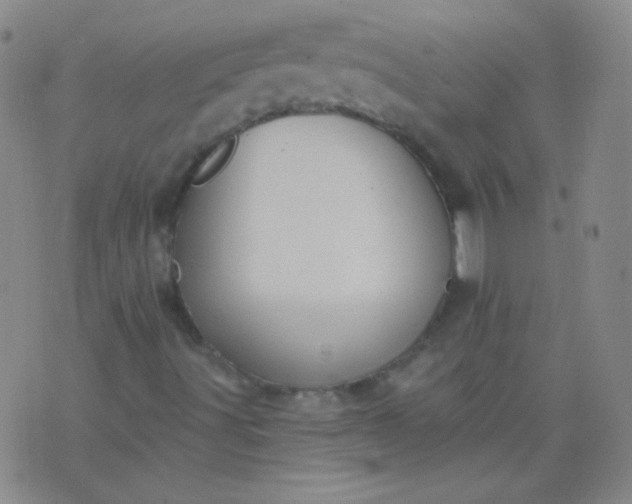 X0000076401491200610202116