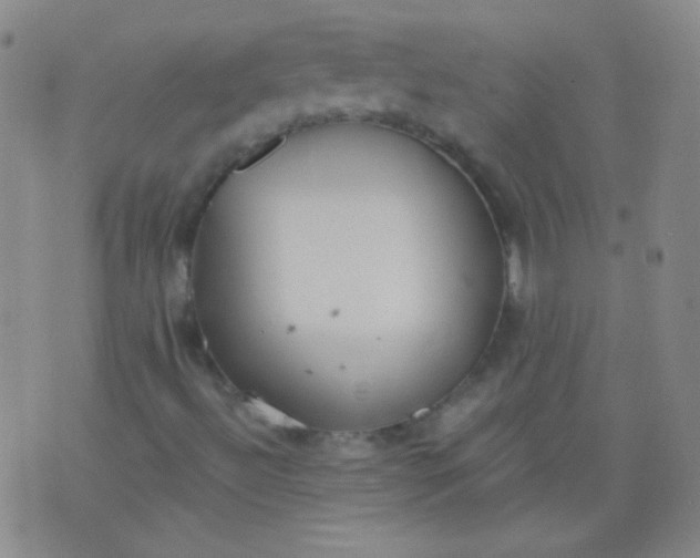 X0000076401492200610202116