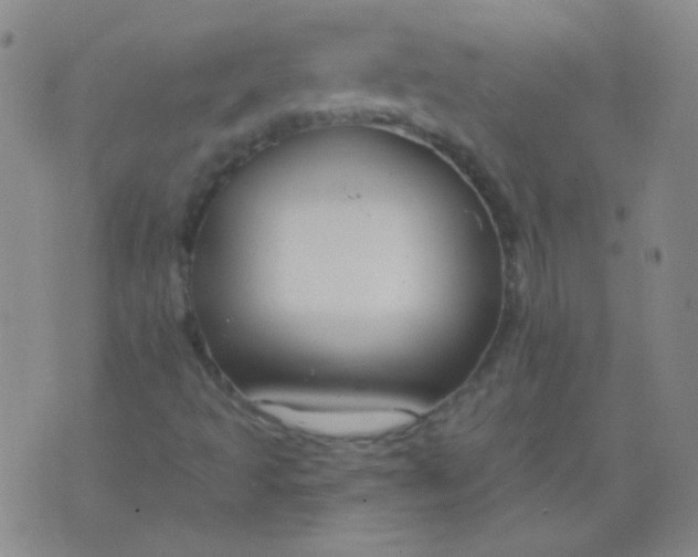 X0000076401493200610202116