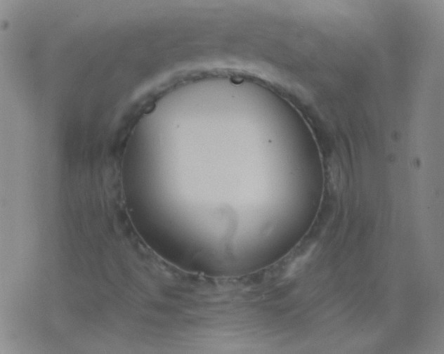 X0000076401494200610202116