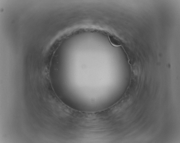 X0000076401495200610202116