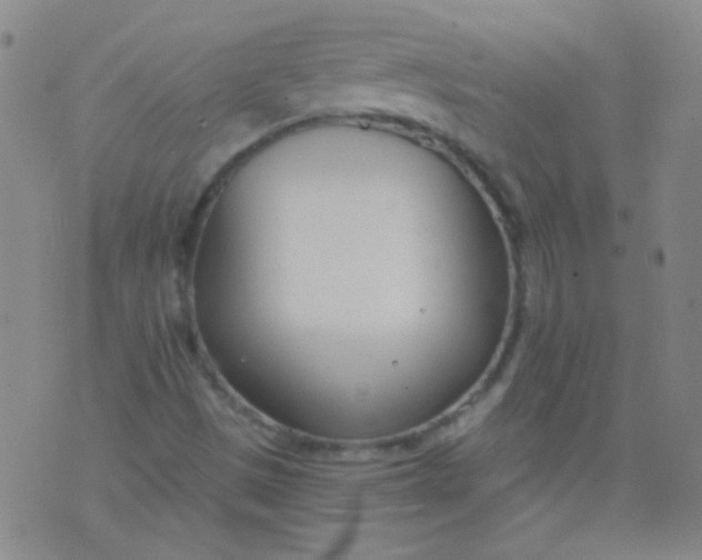 X0000076401497200610202116