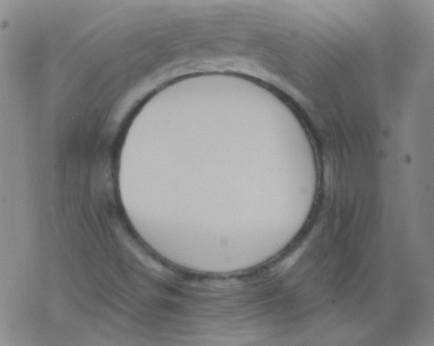 X0000076401498200610202117