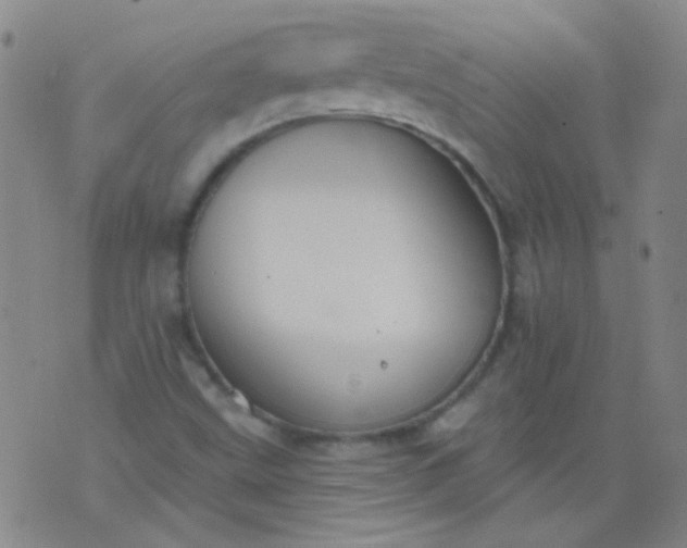 X0000076401499200610202117