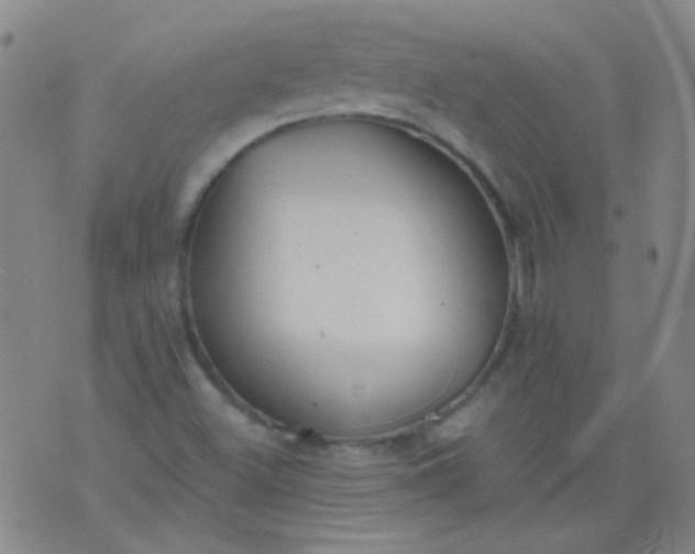 X0000076401500200610202117