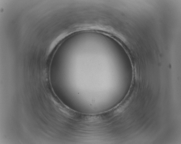 X0000076401501200610202117