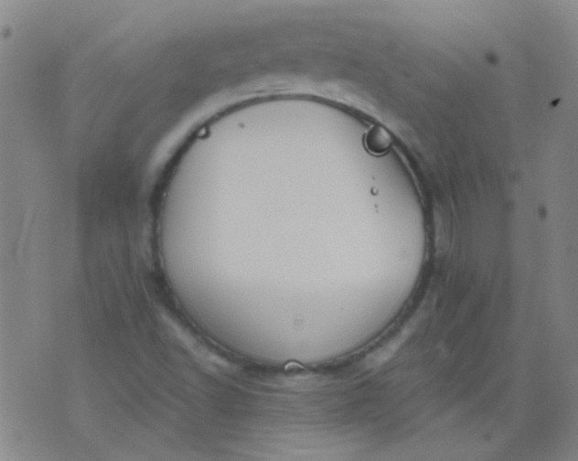 X0000076401502200610202117