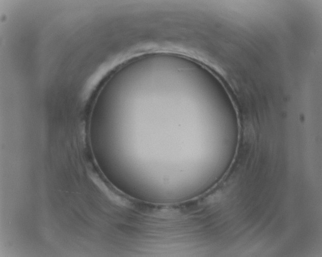 X0000076401503200610202117