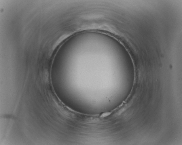 X0000076401505200610202117