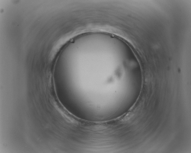 X0000076401507200610202117