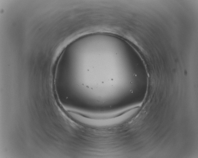 X0000076401508200610202117