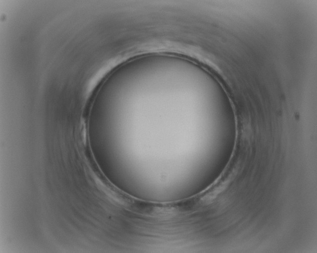 X0000076401509200610202117