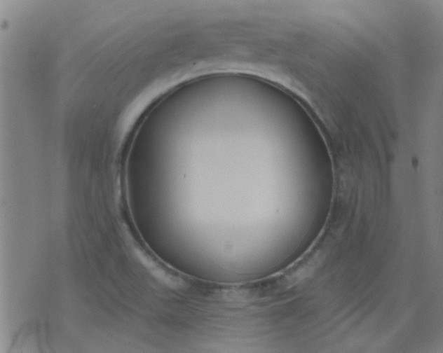 X0000076401511200610202117