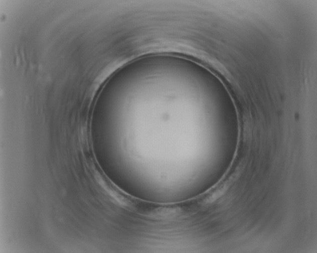 X0000076401513200610202117