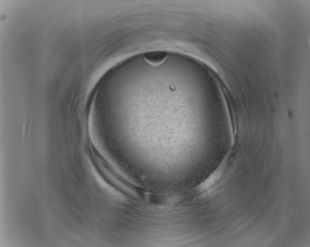 X0000076401515200610202117