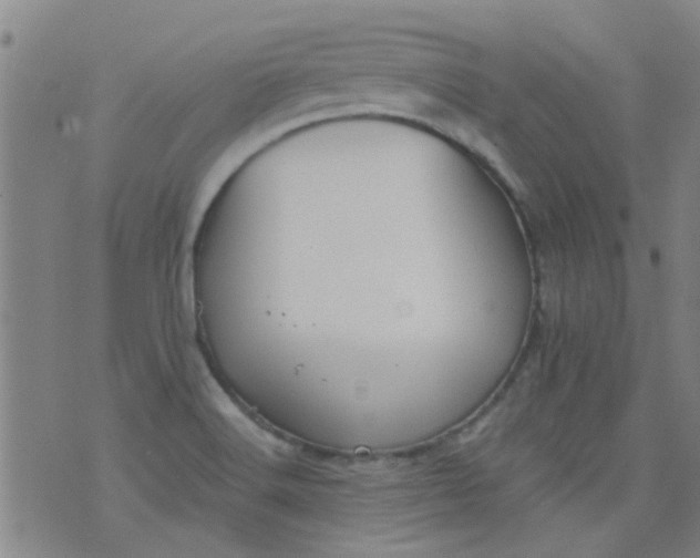 X0000076401516200610202117