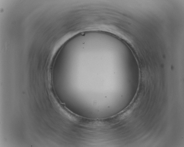 X0000076401517200610202117