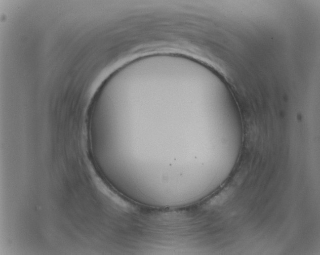 X0000076401518200610202117