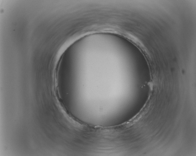 X0000076401520200610202117