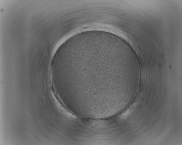 X0000076401522200610202117