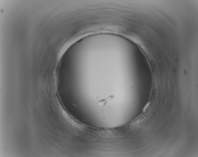 X0000076401524200610202117