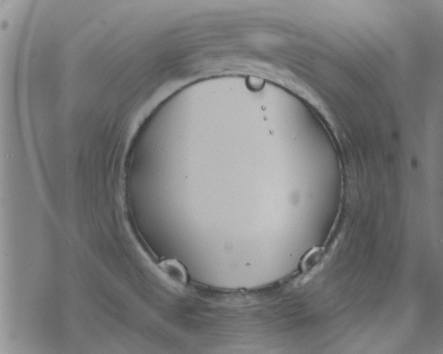 X0000076401525200610202117