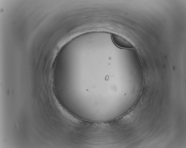 X0000076401526200610202117