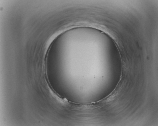 X0000076401527200610202117