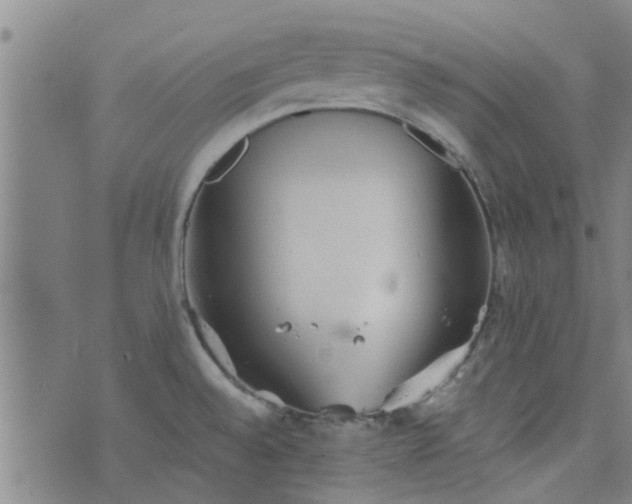 X0000076401528200610202117