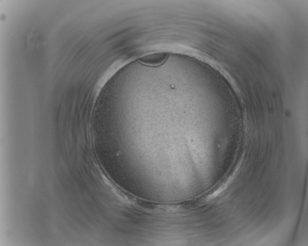 X0000076401529200610202117