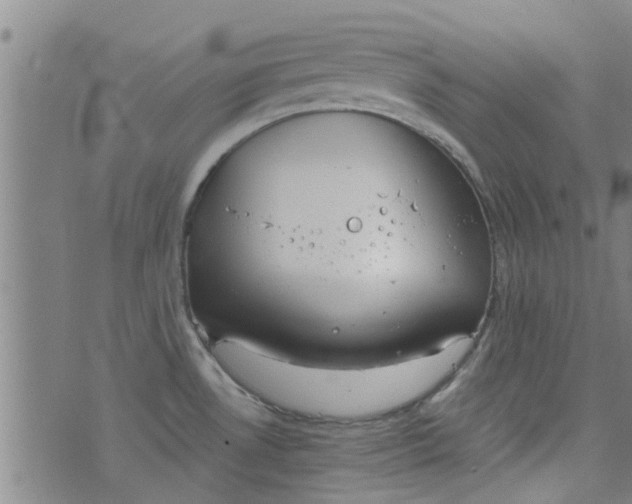 X0000076401530200610202117