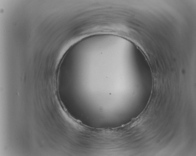 X0000076401531200610202117