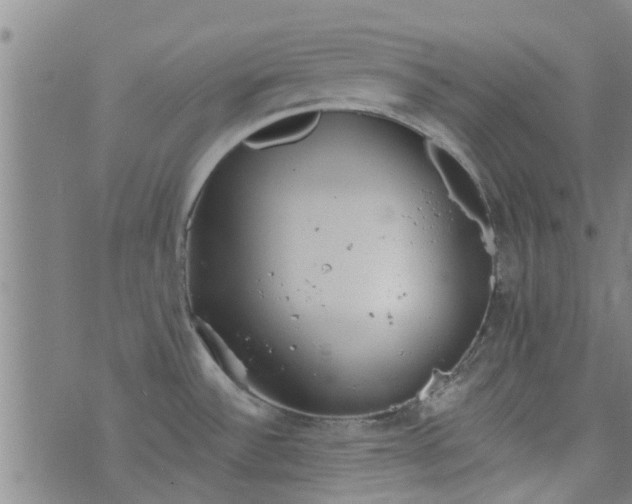 X0000076401532200610202117