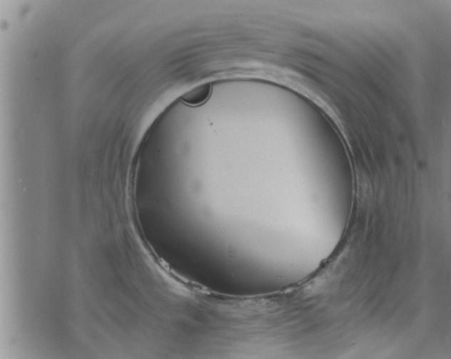 X0000076401533200610202117