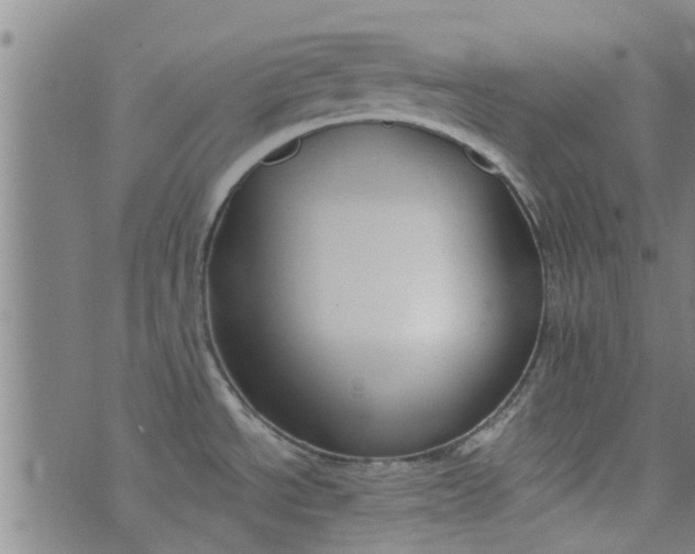 X0000076401534200610202117