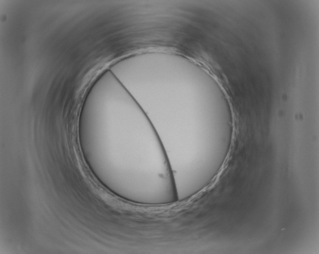 X0000076400001200610271630