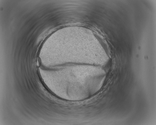 X0000076400002200610271630