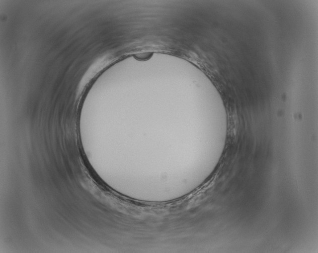 X0000076400004200610271630