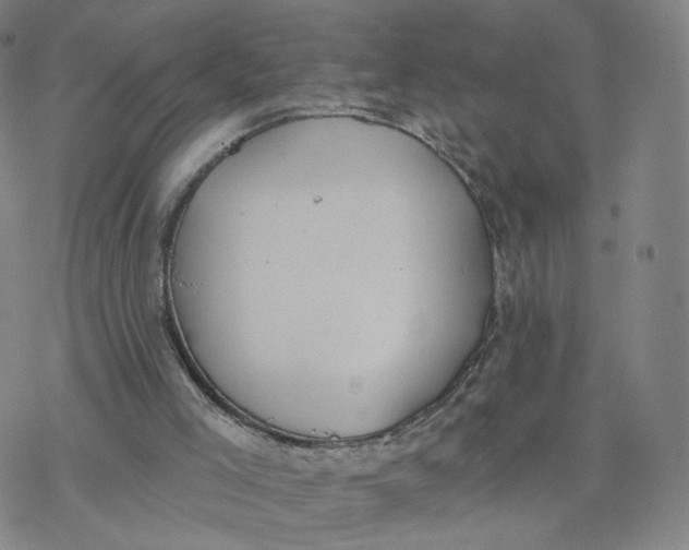 X0000076400005200610271630