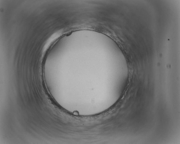 X0000076400006200610271630