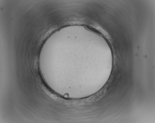 X0000076400009200610271629