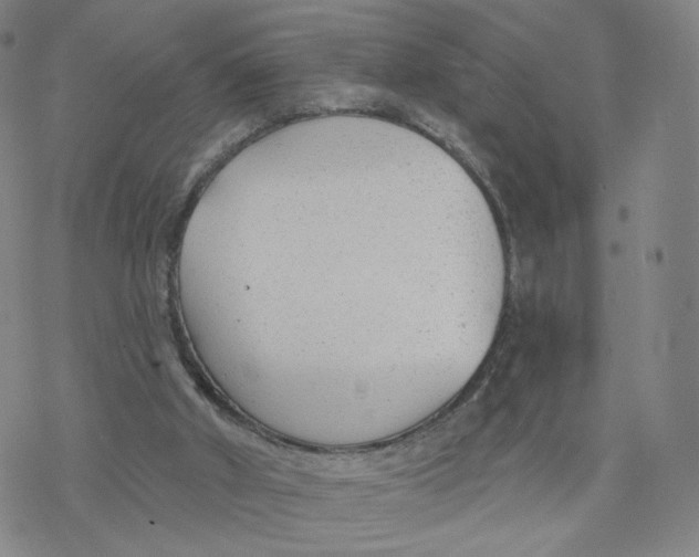 X0000076400010200610271629