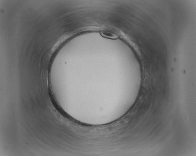 X0000076400011200610271629