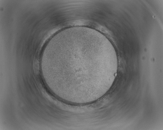 X0000076400012200610271629