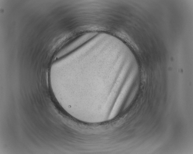 X0000076400014200610271629